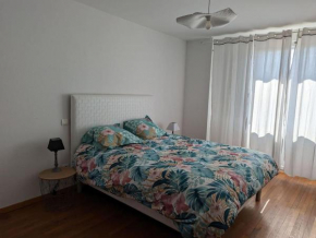 appartement plein centre Saint die des Vosges